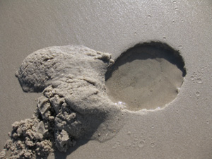 a small hole in the sand holds water