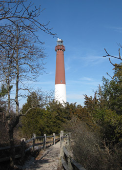 a view of Barnegat Lighthouse from the maritime forest trail